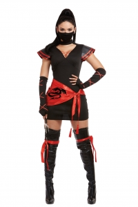 Ninja (Women) Adult Costume