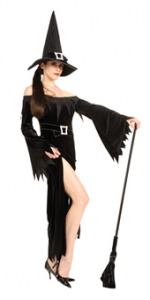 Wicked Witch Adult Costume