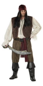 Rogue Pirate Plus Size Adult Costume