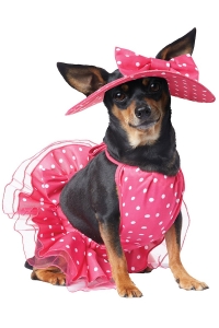 Pretty in Pink Dog Costume