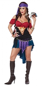 Exotic Gypsy Sexy Adult Costume