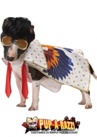 Rock N Roll King Dog Costume