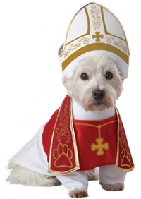 Holy Hound Dog Costume