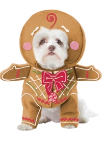 Gingerbread Pup Pet Costume