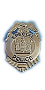 Badge Special Police Gold