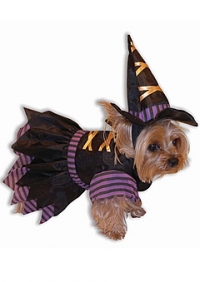 Witch Doggie Pet Costume