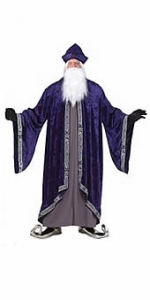 Grand Wizard Plus Size Adult Costume