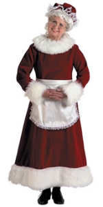 Mrs. Claus Plus Size Costume