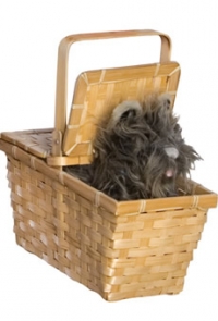 Toto In The Basket Deluxe