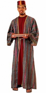 Adult Balthazar Costume