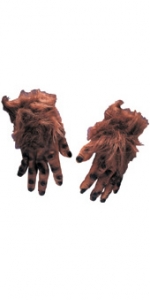 Brown Hairy Hands