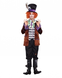 Hatter Madness Mens Adult Costume