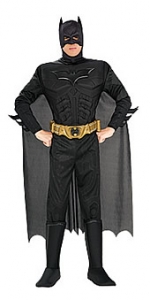 Batman Muscle Adult Costume