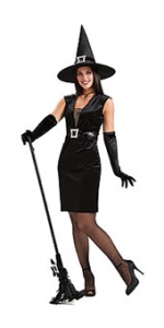 Cocktail Witch Adult Costume