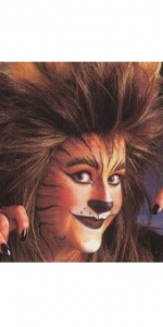 Cat / Lion Make-up Kit