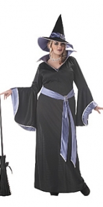 Incantasia The Glamour Witch Plus Size Adult Costume