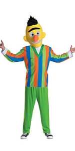 Bert Adult Costume
