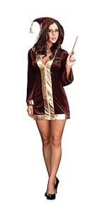 Wizard Delight Sexy Adult Costume