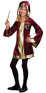 Wizardly Delights Kids Costume