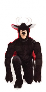 Toro the Terri-Bull Adult Costume
