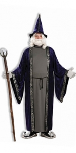 Wizard Plus Size Costume