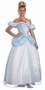 Story Book Princess Adult Costume