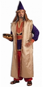 Garnet Deluxe Wiseman Adult Costume