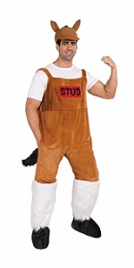 Bud The Stud Adult Costume