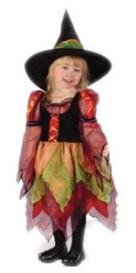 Fairy Witch Toddler Costume