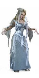 Ghostly Goddess Velvet Adult Costume