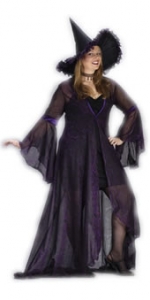 Shimmering Witch Plus Size Adult Costume