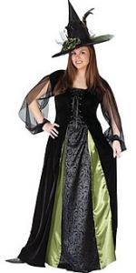 Goth Maiden Witch Plus Size Costume