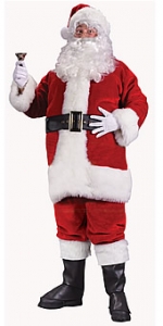 Regency Plush Red Santa Suit Plus Size Costume
