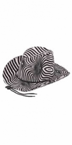 Cowboy Hat Zebra Print