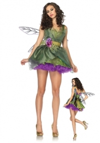 Adult Fairy Costumes