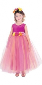 Fushia Velvet Dress Princess Kids Costume