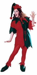 Elf Adult Costume Set